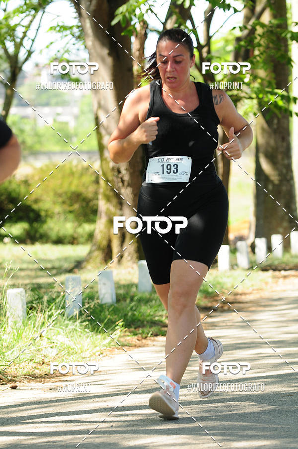 Buy your photos of the eventPIT BULL RUNNING on Fotop