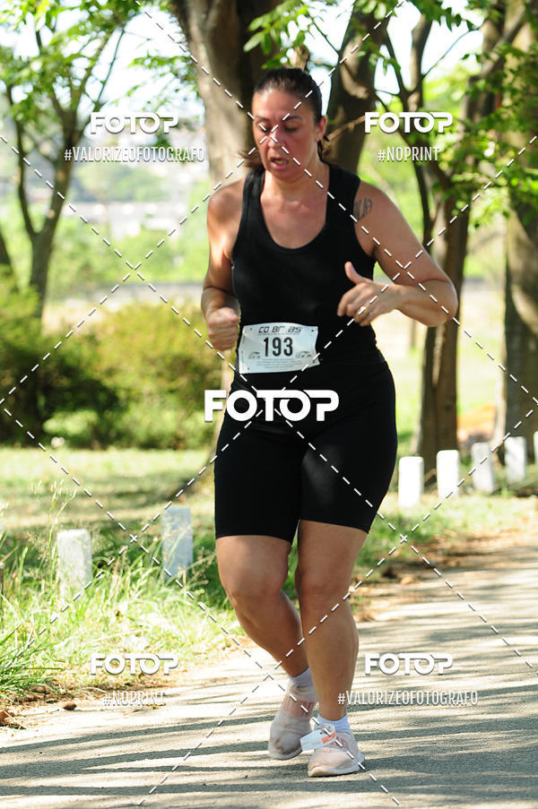 Buy your photos of the eventPIT BULL RUNNING on Fotop