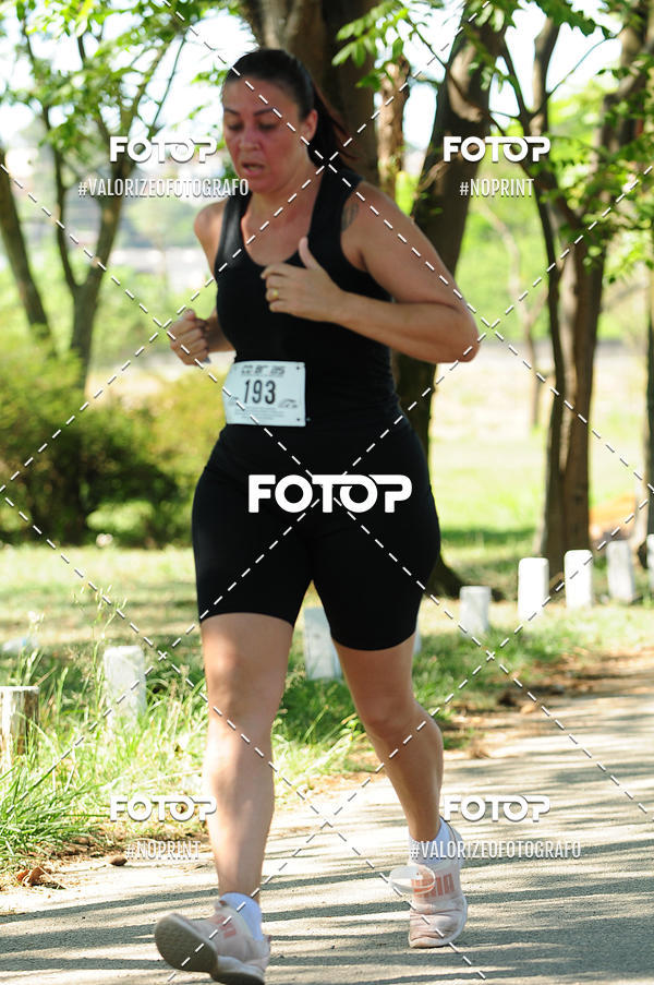 Buy your photos of the eventPIT BULL RUNNING on Fotop