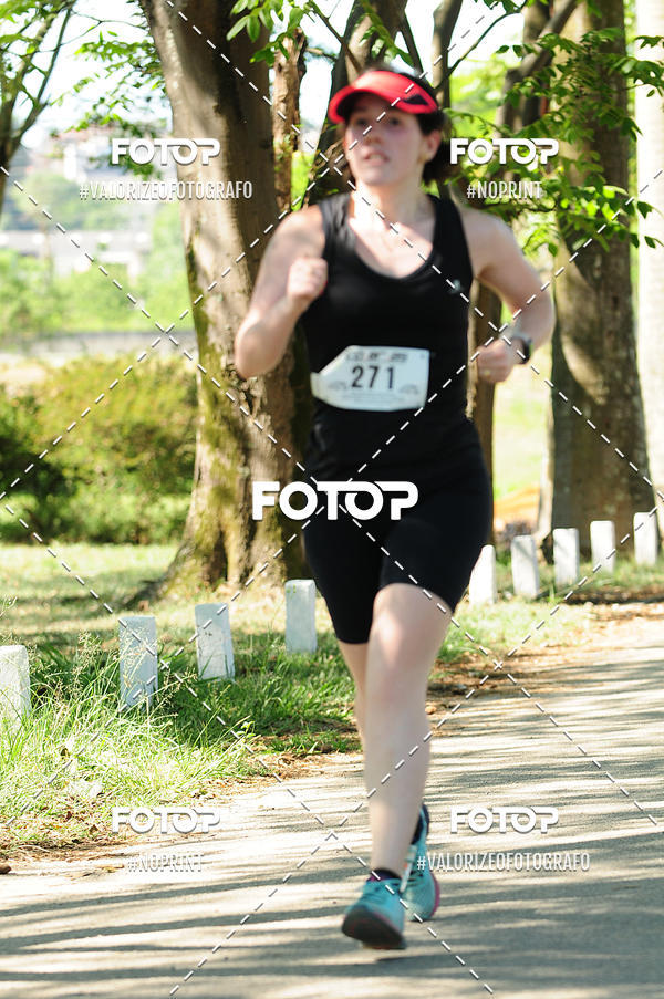 Buy your photos of the eventPIT BULL RUNNING on Fotop