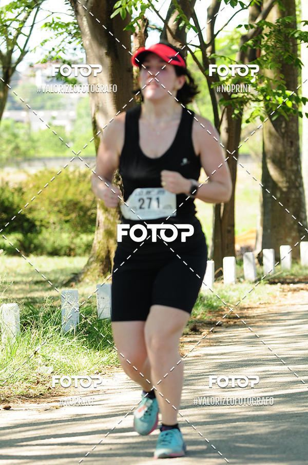Buy your photos of the eventPIT BULL RUNNING on Fotop
