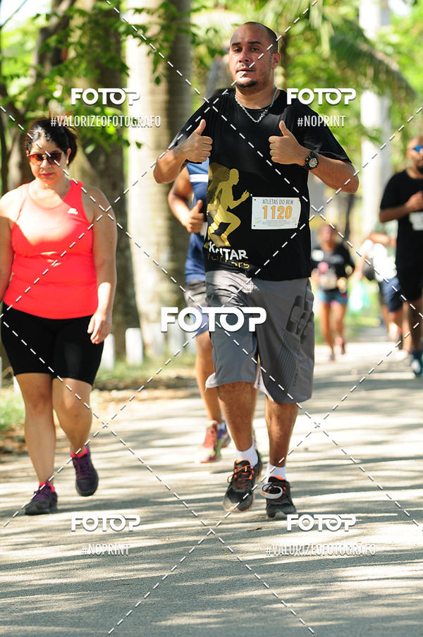 Compra tus fotos del eventoPIT BULL RUNNING En Fotop