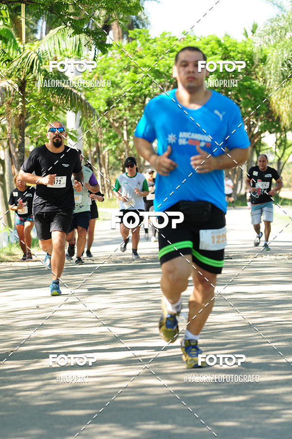 Compra tus fotos del eventoPIT BULL RUNNING En Fotop