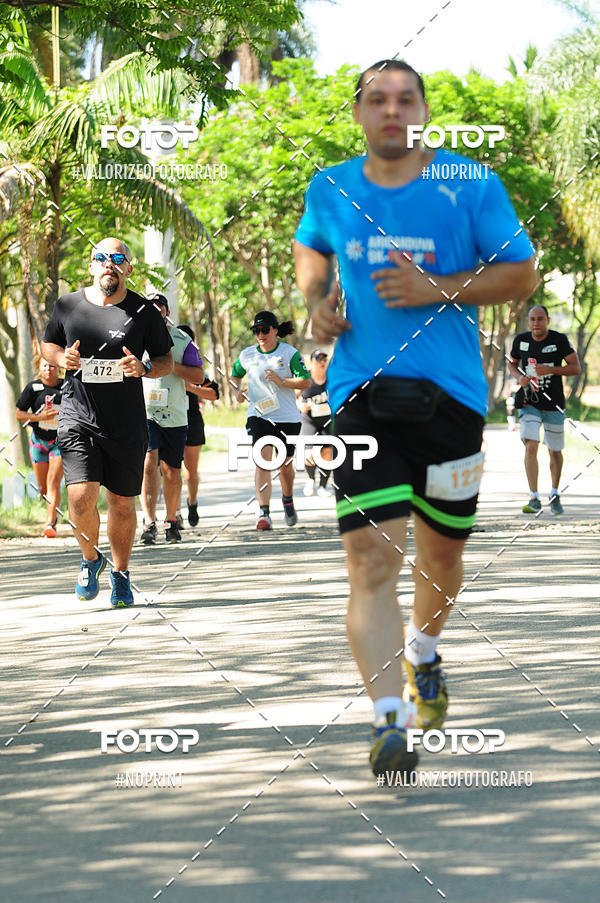 Compra tus fotos del eventoPIT BULL RUNNING En Fotop