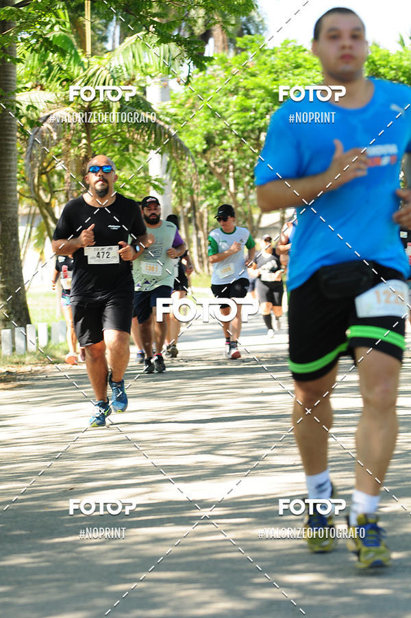 Compra tus fotos del eventoPIT BULL RUNNING En Fotop