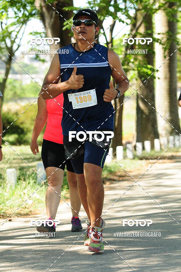 Compra tus fotos del eventoPIT BULL RUNNING En Fotop