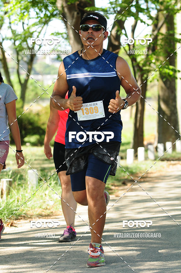 Compra tus fotos del eventoPIT BULL RUNNING En Fotop