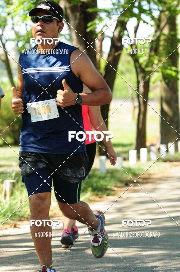 Compra tus fotos del eventoPIT BULL RUNNING En Fotop