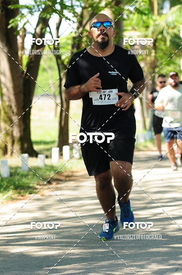 Compra tus fotos del eventoPIT BULL RUNNING En Fotop