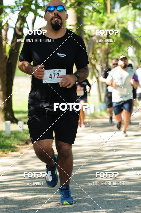 Compra tus fotos del eventoPIT BULL RUNNING En Fotop