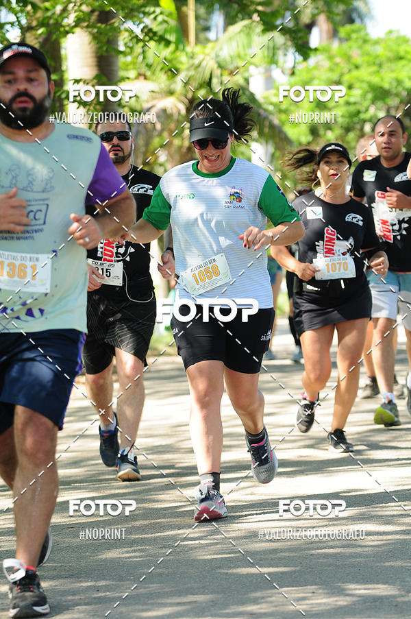 Compra tus fotos del eventoPIT BULL RUNNING En Fotop