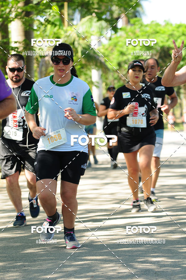Compra tus fotos del eventoPIT BULL RUNNING En Fotop
