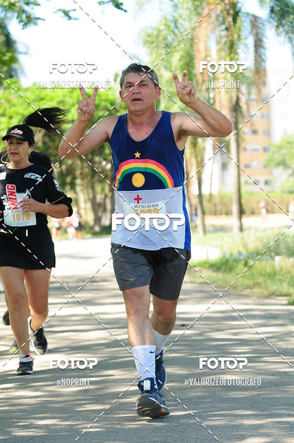 Compra tus fotos del eventoPIT BULL RUNNING En Fotop