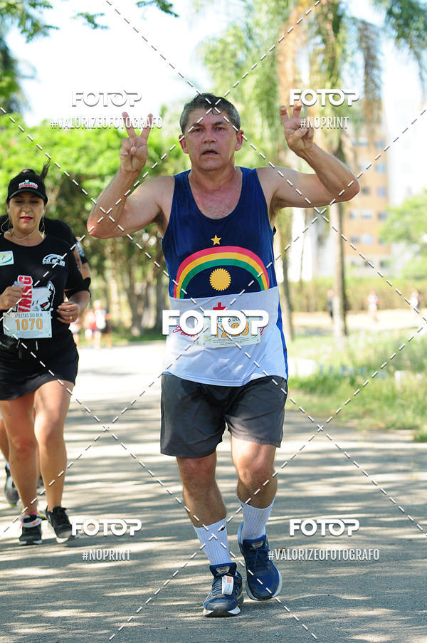 Compra tus fotos del eventoPIT BULL RUNNING En Fotop