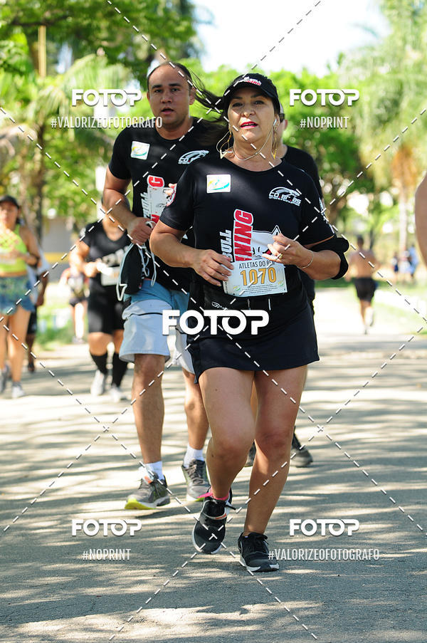 Compra tus fotos del eventoPIT BULL RUNNING En Fotop