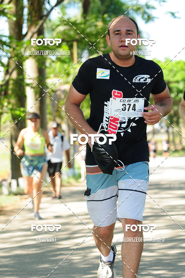 Compra tus fotos del eventoPIT BULL RUNNING En Fotop