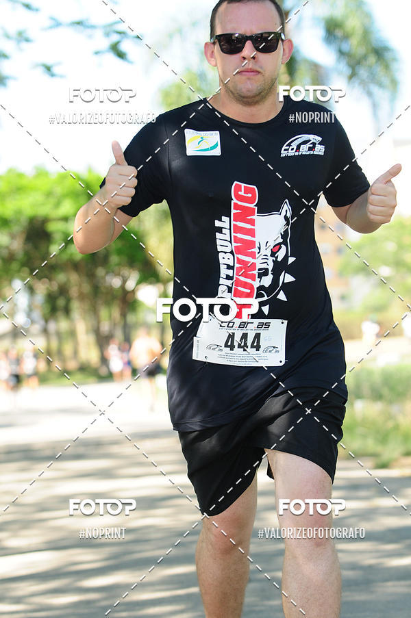 Acquista le foto dell'eventoPIT BULL RUNNING in Fotop