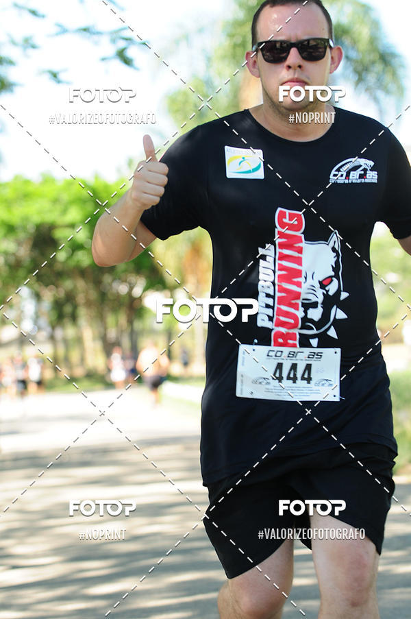 Acquista le foto dell'eventoPIT BULL RUNNING in Fotop