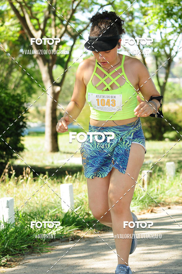 Acquista le foto dell'eventoPIT BULL RUNNING in Fotop