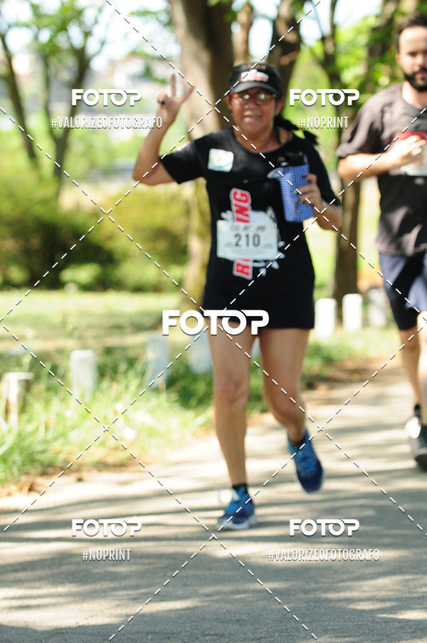 Acquista le foto dell'eventoPIT BULL RUNNING in Fotop