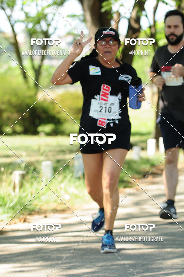 Acquista le foto dell'eventoPIT BULL RUNNING in Fotop