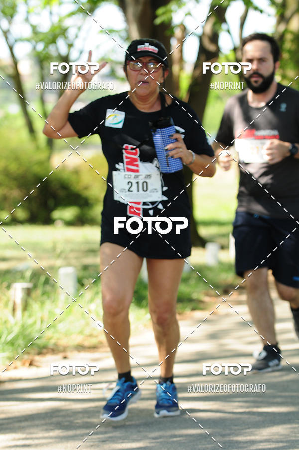 Acquista le foto dell'eventoPIT BULL RUNNING in Fotop