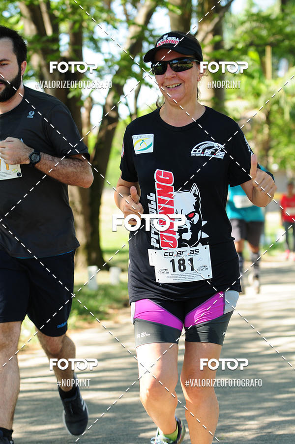 Acquista le foto dell'eventoPIT BULL RUNNING in Fotop