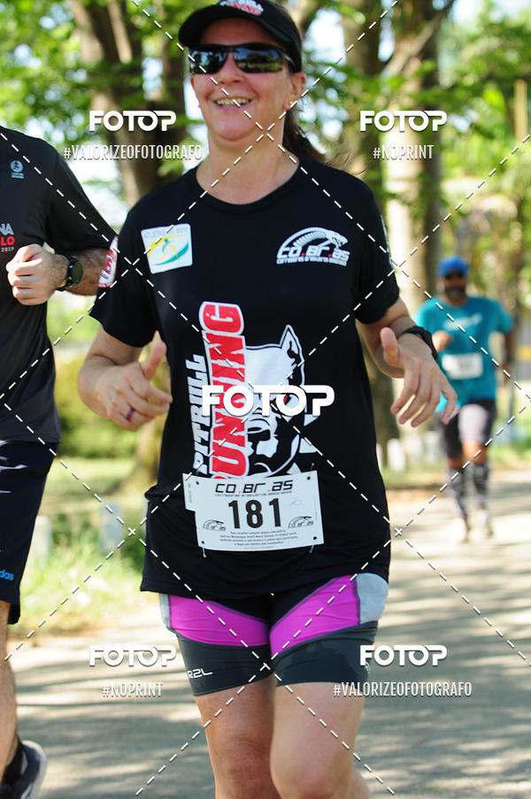 Acquista le foto dell'eventoPIT BULL RUNNING in Fotop