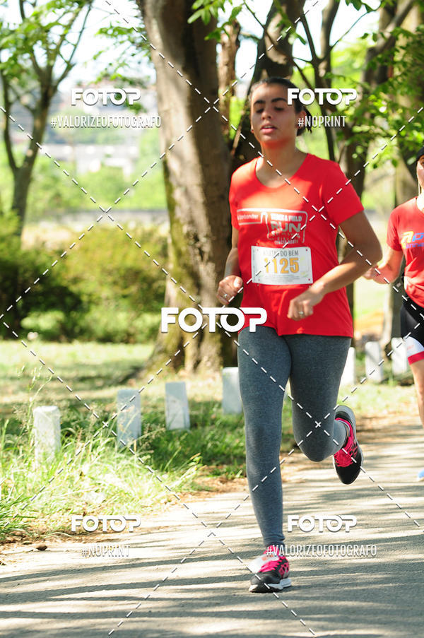 Acquista le foto dell'eventoPIT BULL RUNNING in Fotop