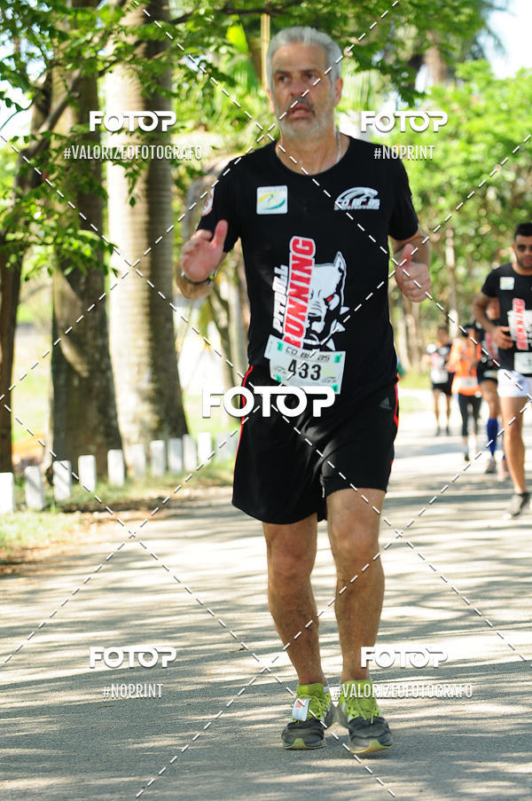 Achetez vos photos de l'vnementPIT BULL RUNNING sur Fotop