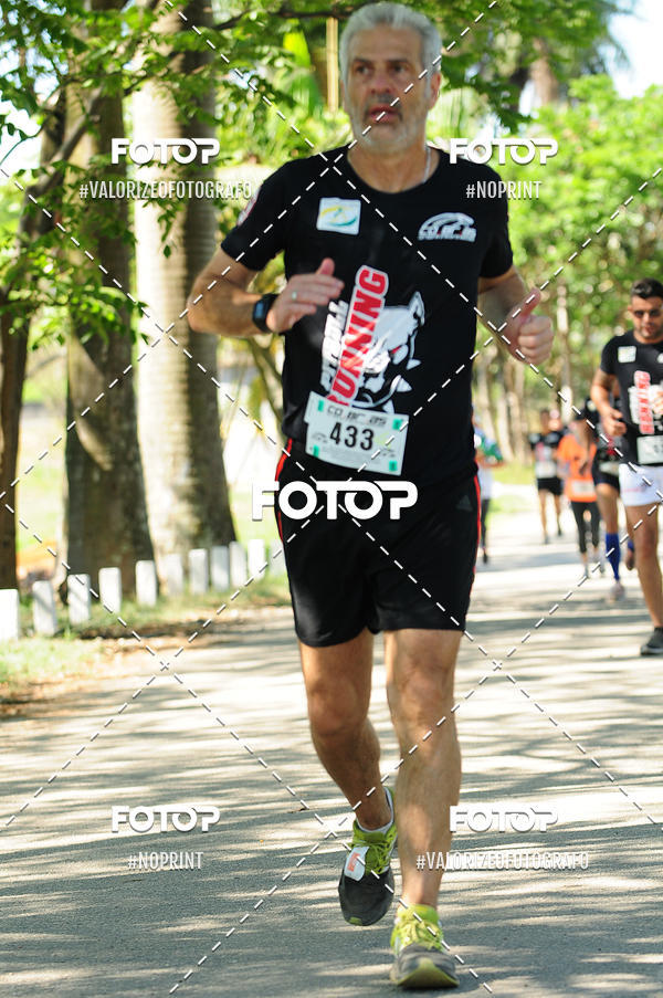 Achetez vos photos de l'vnementPIT BULL RUNNING sur Fotop