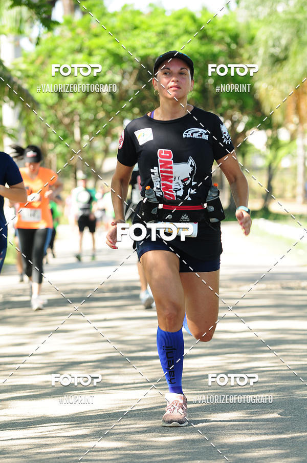 Achetez vos photos de l'vnementPIT BULL RUNNING sur Fotop