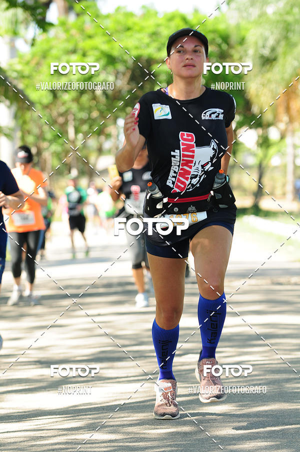 Achetez vos photos de l'vnementPIT BULL RUNNING sur Fotop