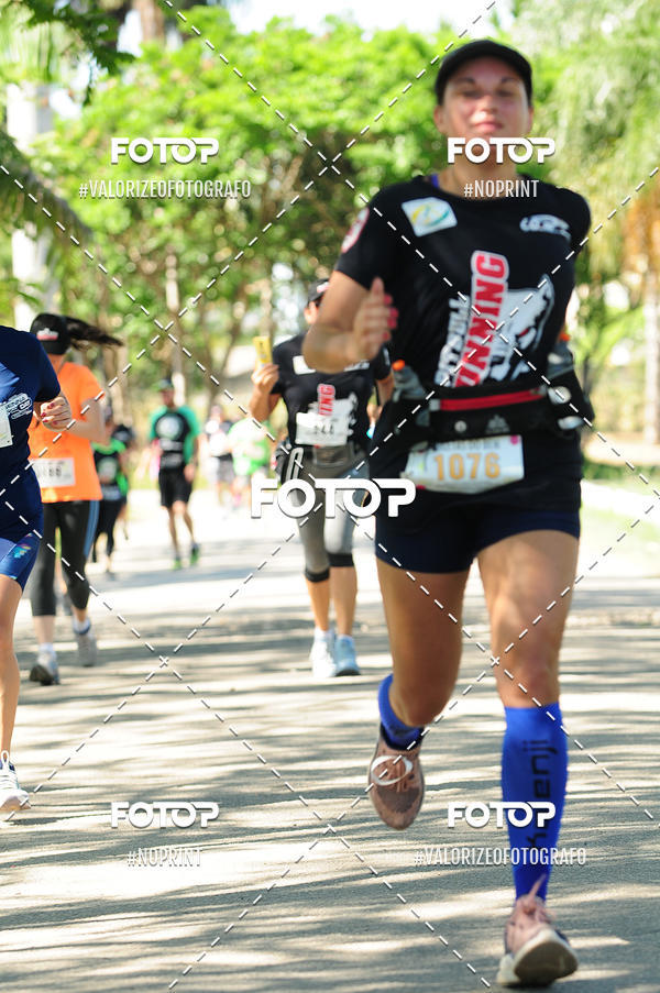 Achetez vos photos de l'vnementPIT BULL RUNNING sur Fotop