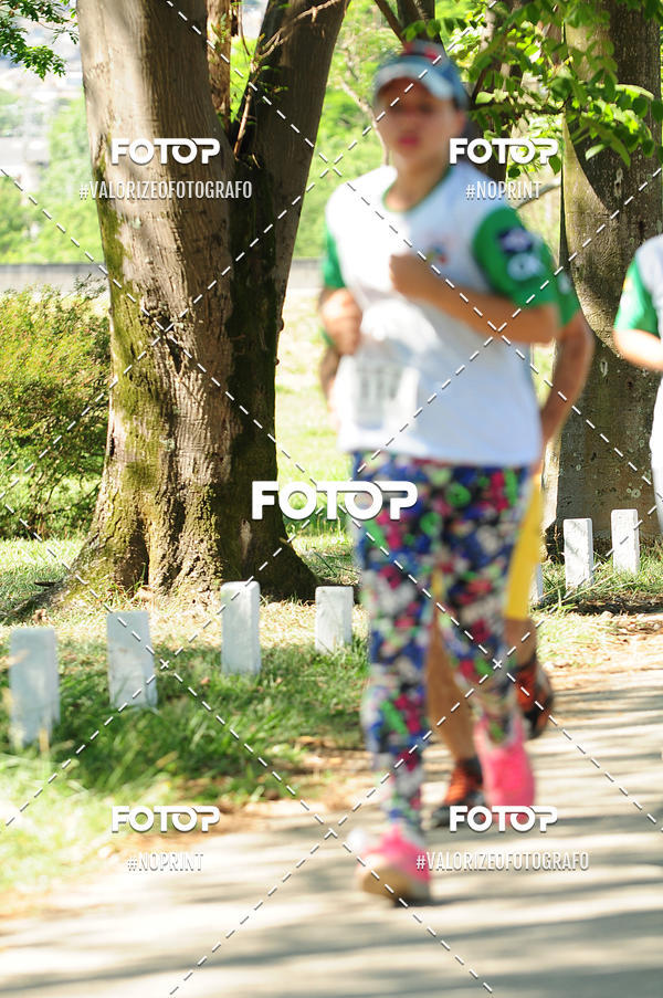 Achetez vos photos de l'vnementPIT BULL RUNNING sur Fotop