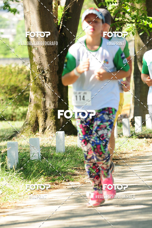 Achetez vos photos de l'vnementPIT BULL RUNNING sur Fotop