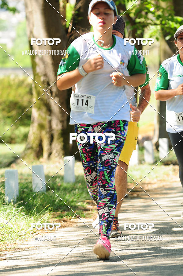 Achetez vos photos de l'vnementPIT BULL RUNNING sur Fotop