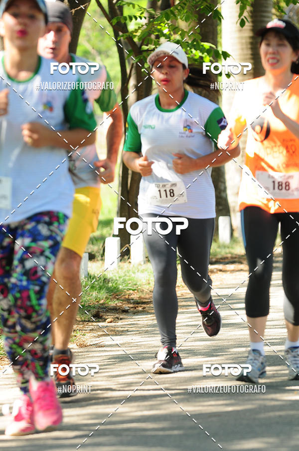 Achetez vos photos de l'vnementPIT BULL RUNNING sur Fotop