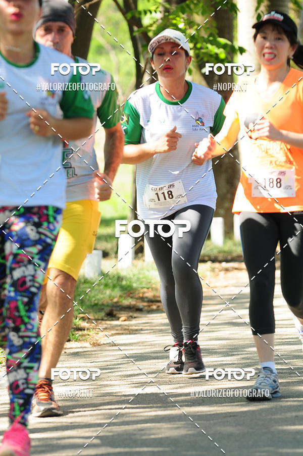 Achetez vos photos de l'vnementPIT BULL RUNNING sur Fotop