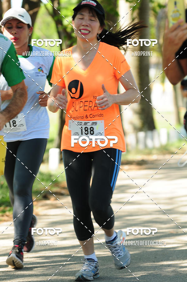 Achetez vos photos de l'vnementPIT BULL RUNNING sur Fotop