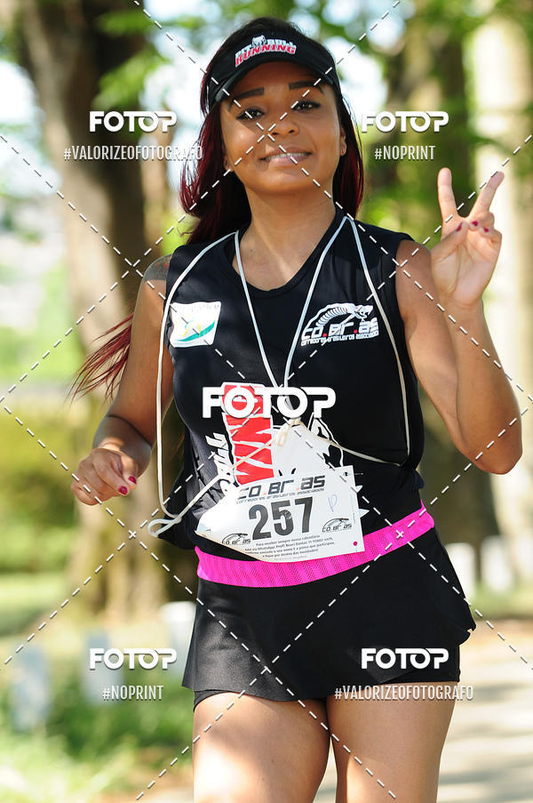 Compre as suas fotos do eventoPIT BULL RUNNING no Fotop