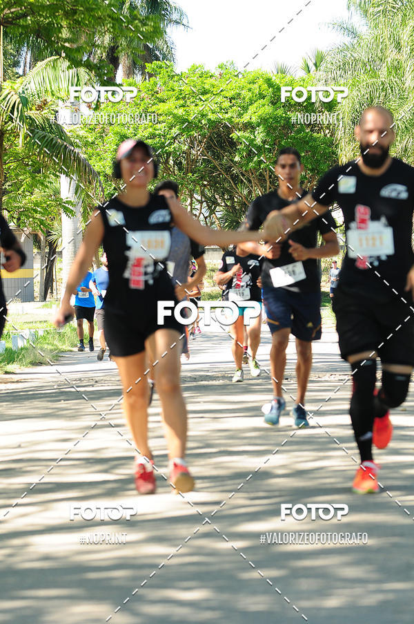 Compre as suas fotos do eventoPIT BULL RUNNING no Fotop