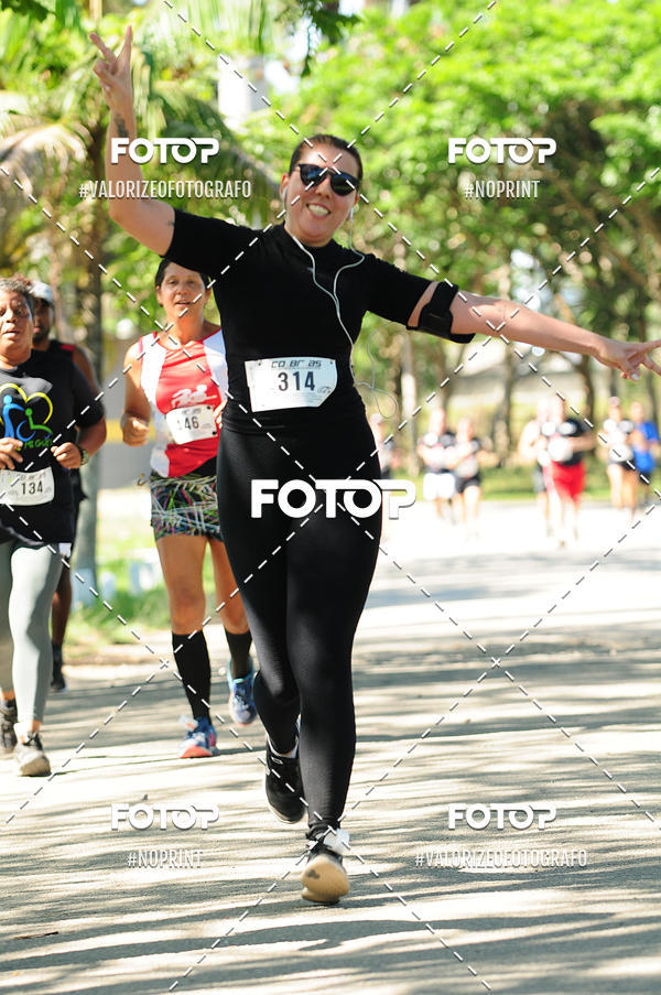 Compra tus fotos del eventoPIT BULL RUNNING En Fotop