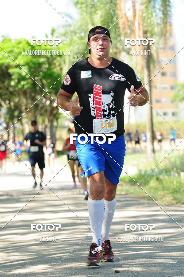 Compra tus fotos del eventoPIT BULL RUNNING En Fotop