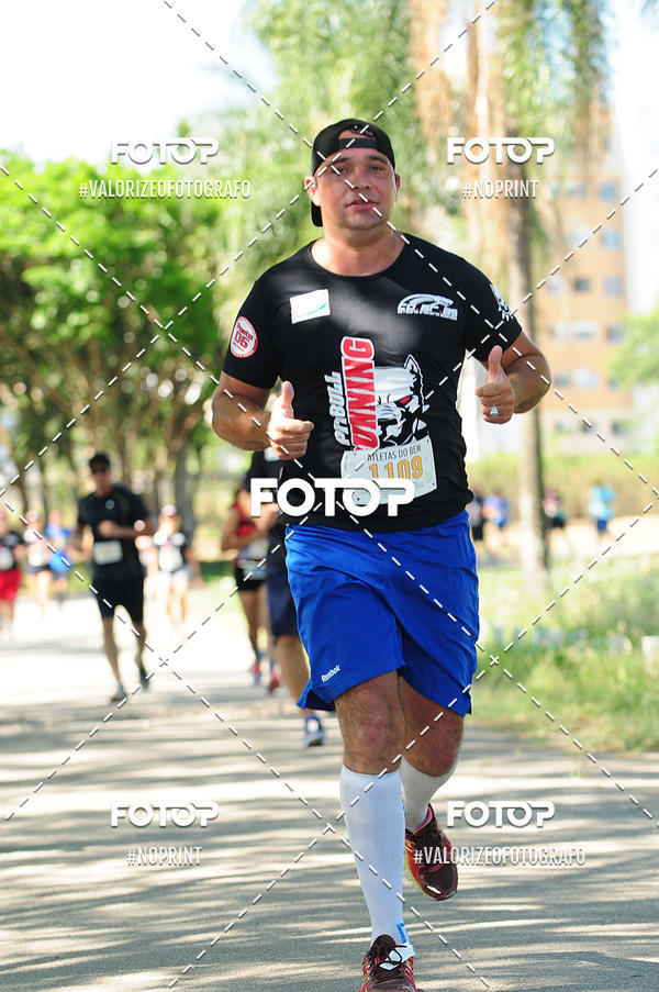 Compra tus fotos del eventoPIT BULL RUNNING En Fotop