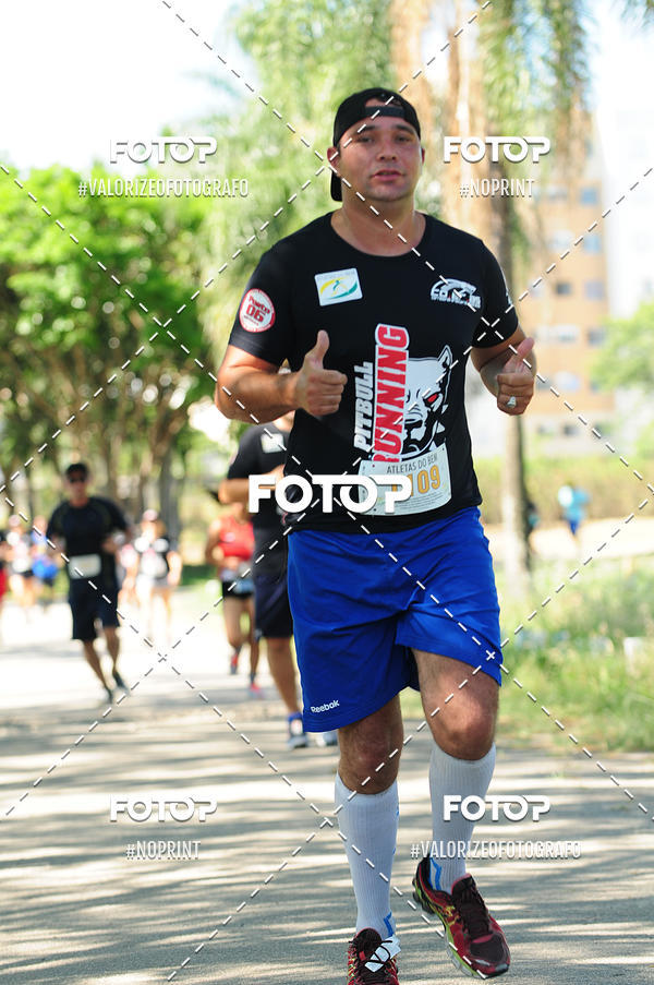 Compra tus fotos del eventoPIT BULL RUNNING En Fotop