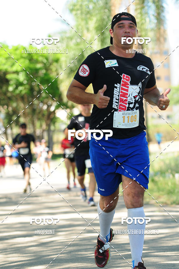 Compra tus fotos del eventoPIT BULL RUNNING En Fotop