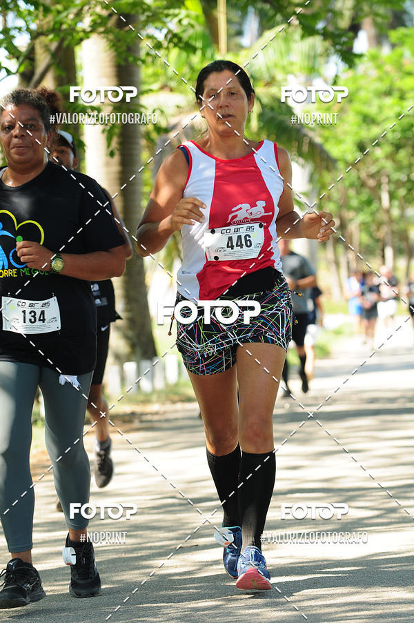 Compra tus fotos del eventoPIT BULL RUNNING En Fotop