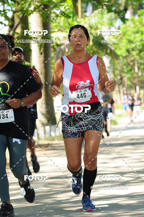 Compra tus fotos del eventoPIT BULL RUNNING En Fotop