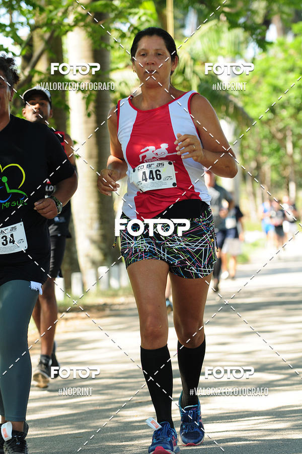 Compra tus fotos del eventoPIT BULL RUNNING En Fotop